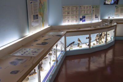 Agrandir l'image 2 sur 3, fenêtre modale