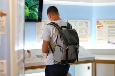 Agrandir l'image 3 sur 3, fenêtre modale