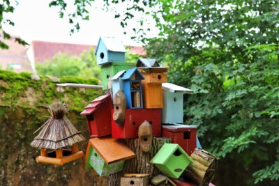 Agrandir l'image 2 sur 6, fenêtre modale