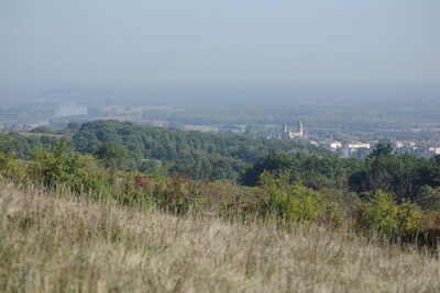 Agrandir l'image 3 sur 3, fenêtre modale