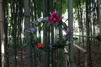 Agrandir l'image 3 sur 3, fenêtre modale