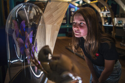 Agrandir l'image 2 sur 3, fenêtre modale