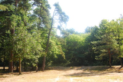 Agrandir l'image 2 sur 3, fenêtre modale