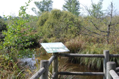 Agrandir l'image 3 sur 3, fenêtre modale