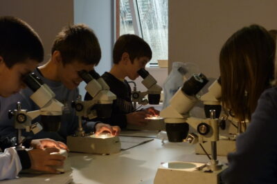 Agrandir l'image 1 sur 3, fenêtre modale