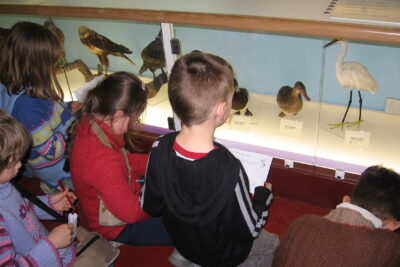 Agrandir l'image 1 sur 1, fenêtre modale