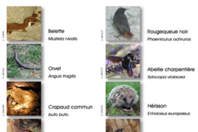 Agrandir l'image 2 sur 3, fenêtre modale