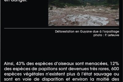 Agrandir l'image 4 sur 4, fenêtre modale