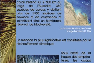 Agrandir l'image 1 sur 4, fenêtre modale