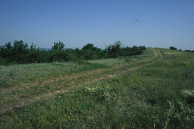 Agrandir l'image 2 sur 3, fenêtre modale