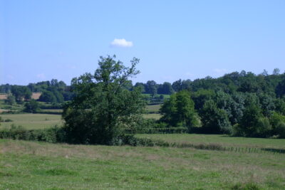 Agrandir l'image 2 sur 2, fenêtre modale