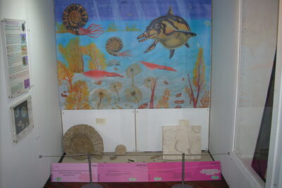 Agrandir l'image 3 sur 3, fenêtre modale