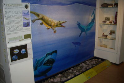 Agrandir l'image 1 sur 3, fenêtre modale