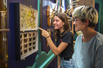 Agrandir l'image 3 sur 3, fenêtre modale