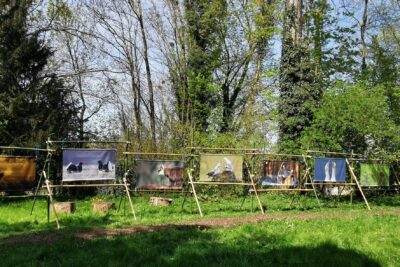 Agrandir l'image 1 sur 3, fenêtre modale